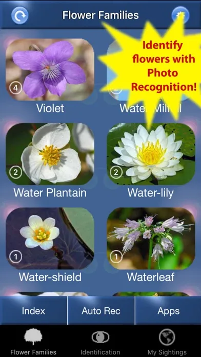 Wildflower Id USA Photo Recog.应用截图