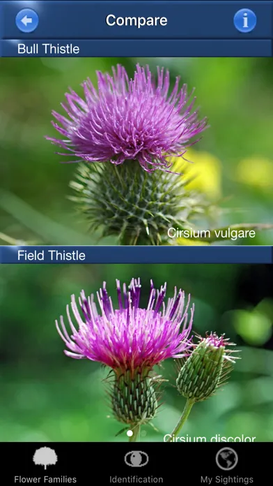 Wildflower Id USA Photo Recog.应用截图