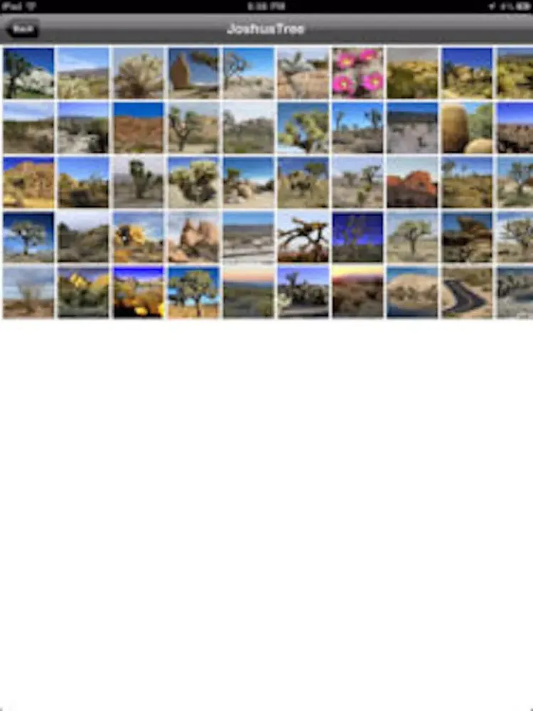 Joshua Tree National Park - USA iPad 应用截图