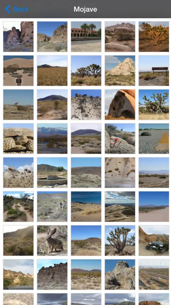 Скриншоты Mojave National Park