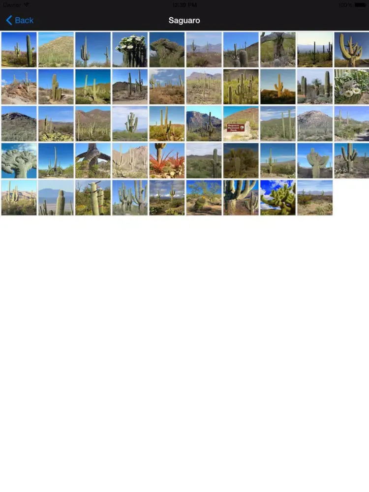 صور Saguaro National Park United States iPad 