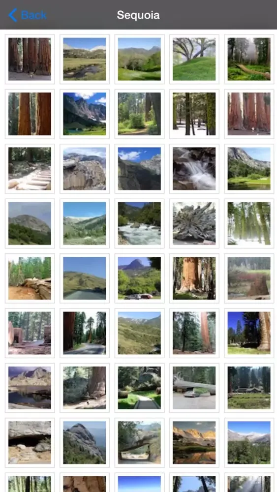 Capturas de tela do Sequoia National Park Guide