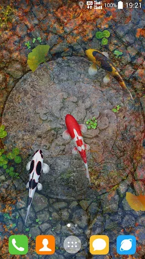 Tangkapan layar Water Garden Live Wallpaper