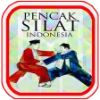 Pencak Silat