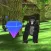 Monkey survival hunt War