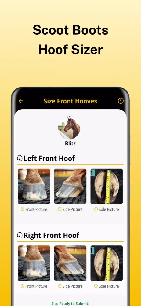 Скриншоты Scoot Boots - Hoof Sizer