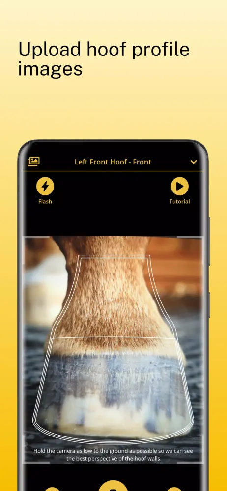 Скриншоты Scoot Boots - Hoof Sizer
