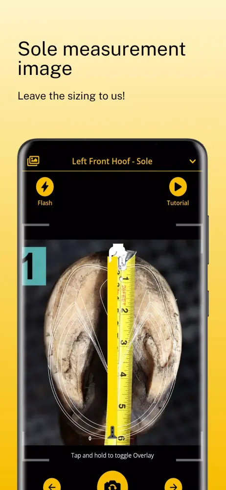 Скриншоты Scoot Boots - Hoof Sizer