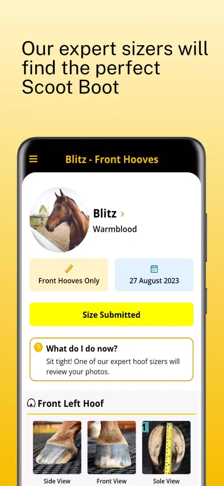 Скриншоты Scoot Boots - Hoof Sizer
