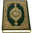 Al-Quran (Pro)