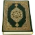 Al-Quran (Pro)
