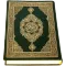 Al-Quran (Pro)