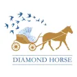 Diamond Horse 马来宝