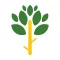 Everleaf