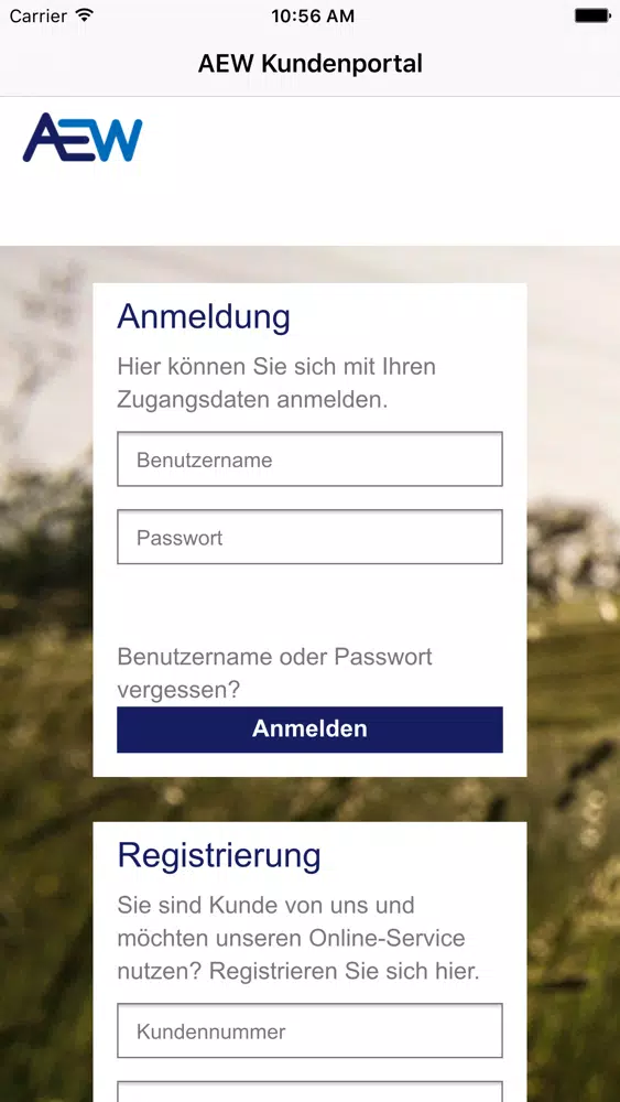 AEW Kundenportal Screenshots