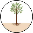 ITC PSPD MyTree