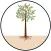 ITC PSPD MyTree