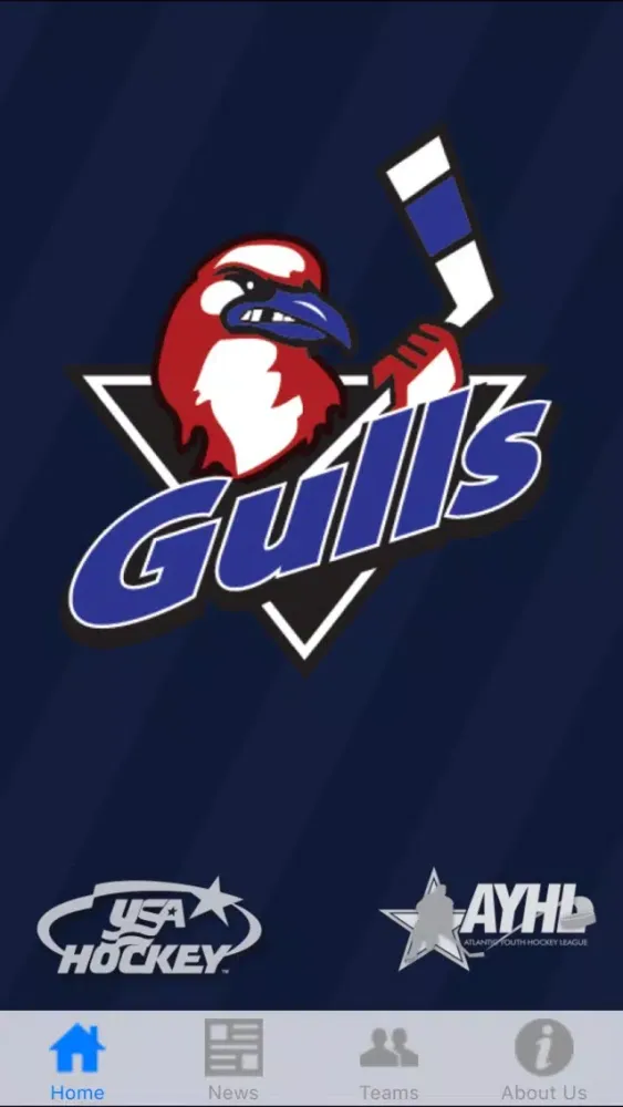 Long Island Gulls Screenshots