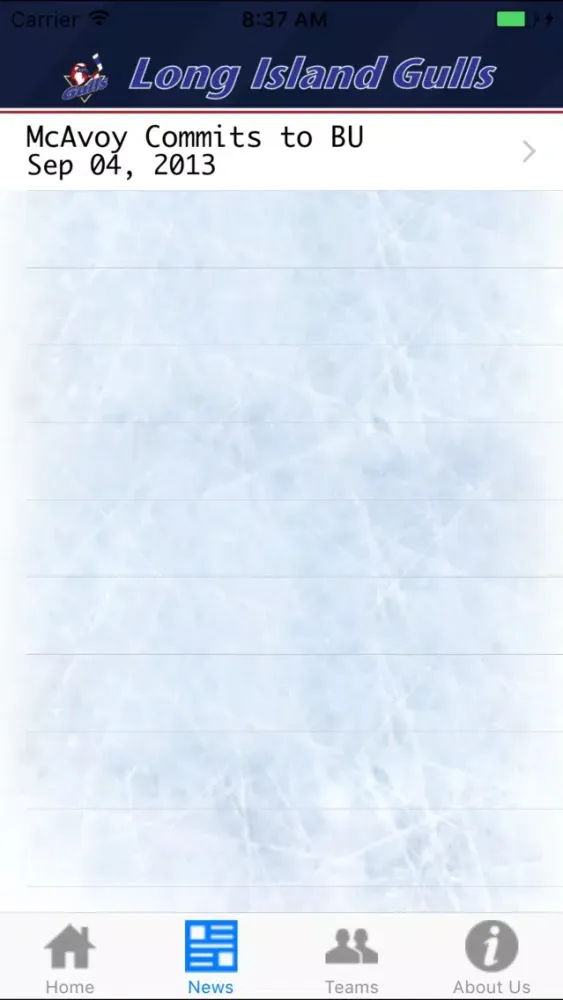 Long Island Gulls Screenshots