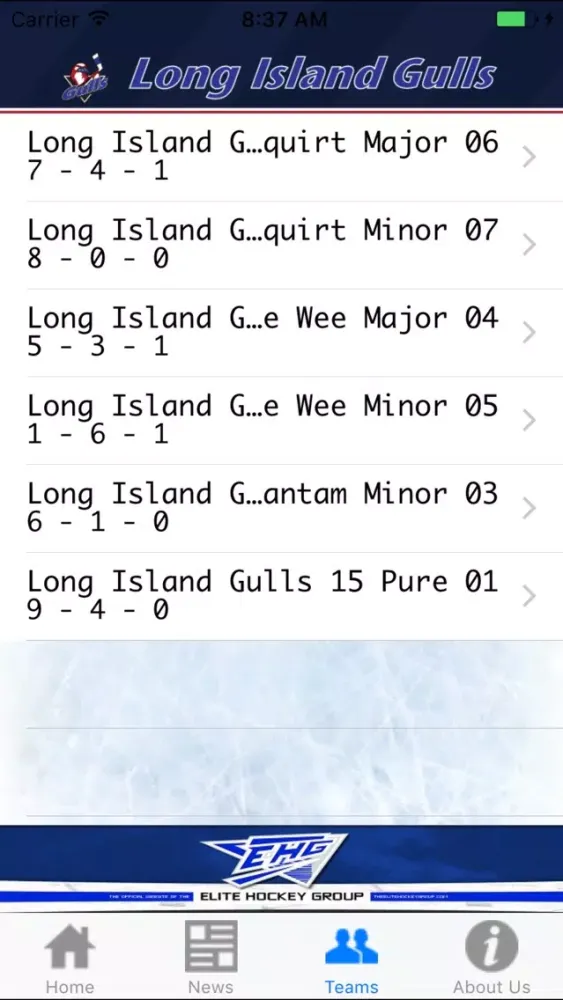 Long Island Gulls Screenshots