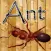 Ant Crusher Game HD Lite