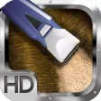 Bald Photo Kiosk © HD Lite Bald Photo Kiosk © HD Lite