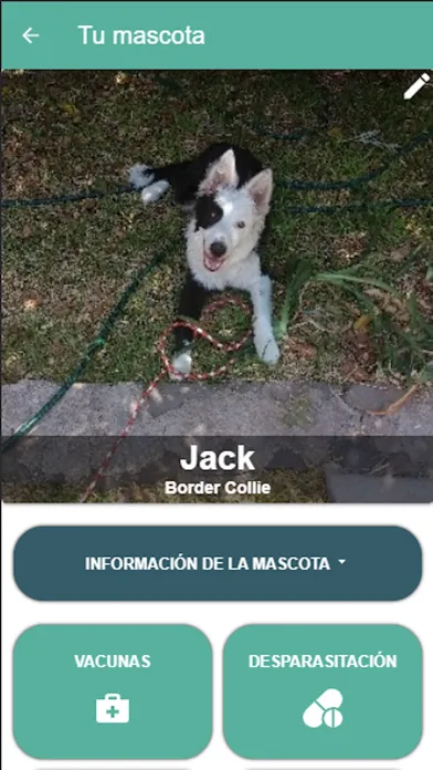 VetLink Screenshots