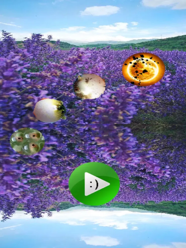 Super Crab 超蟹 iPad 應用截圖
