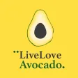 Live Love Avocado