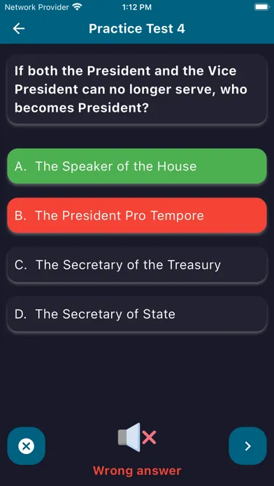 US Citizenship Test 2024. Screenshots