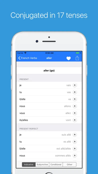 Capturas de pantalla de French Verb Conjugator Pro