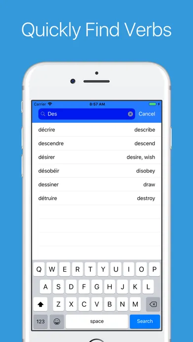 Capturas de pantalla de French Verb Conjugator Pro
