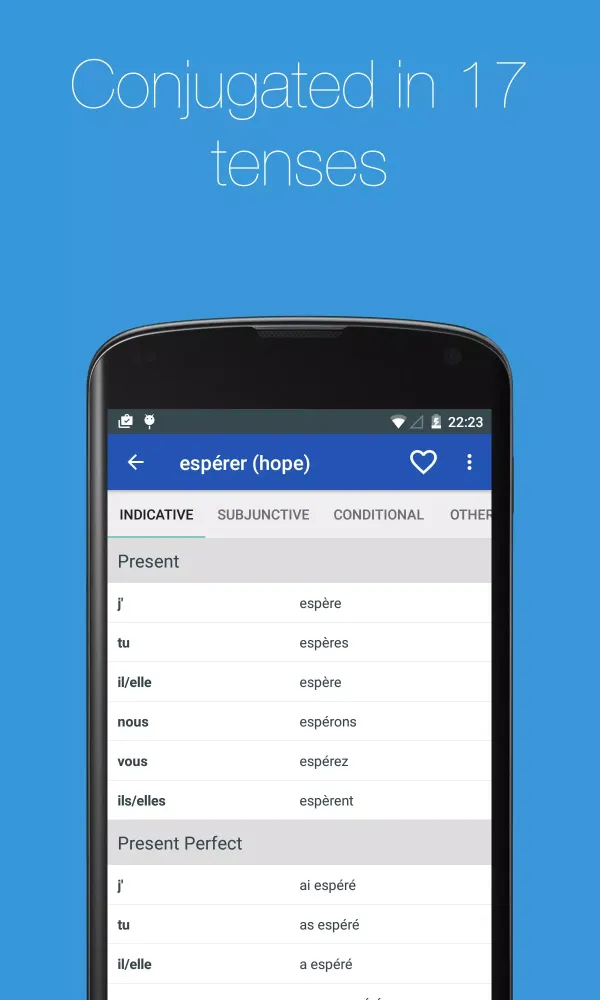 Скриншоты French Verb Conjugator