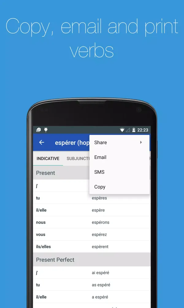 Скриншоты French Verb Conjugator