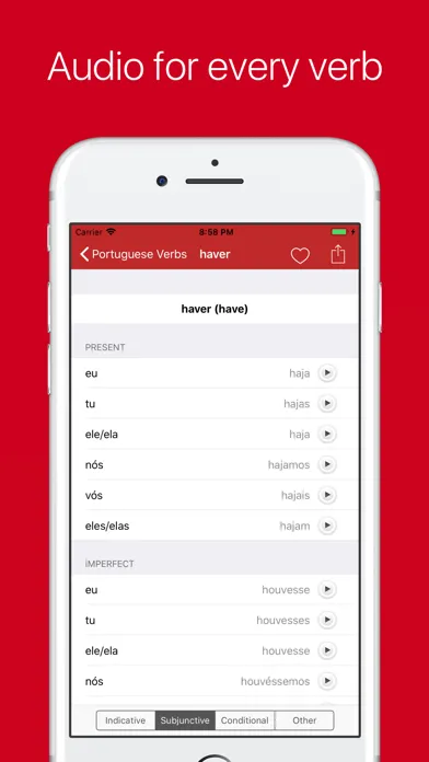 Portuguese Verb Conjugator Pro স্ক্রিনশট
