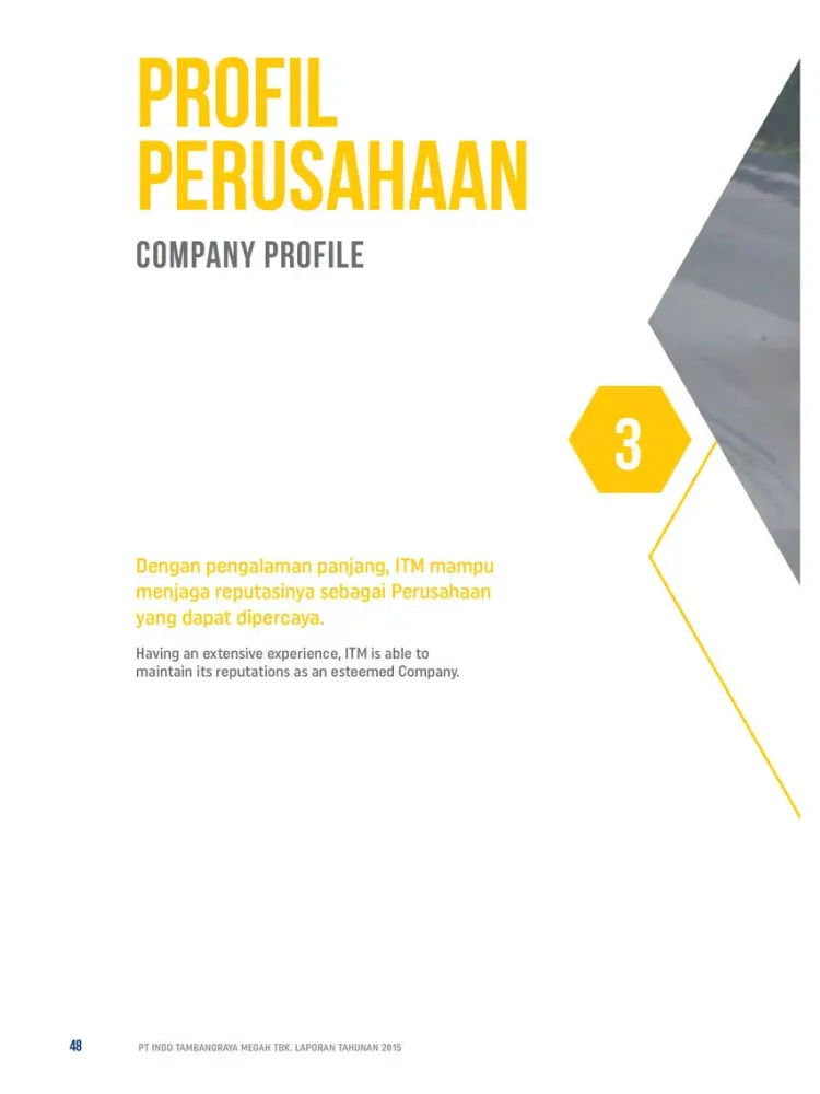 Capturas de tela do ITM 2015 Annual Report iPad 