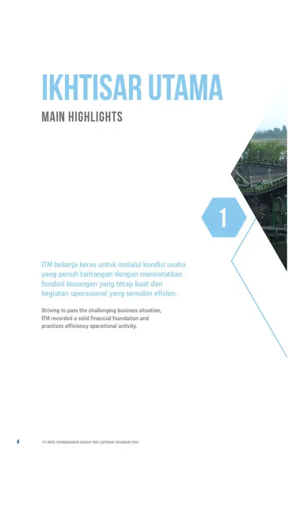 Capturas de tela do ITM 2015 Annual Report