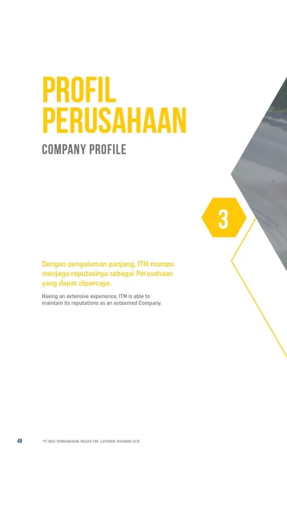 Capturas de tela do ITM 2015 Annual Report