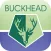 Buckhead On My Mind