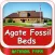 Agate Fossil Beds National Park USA
