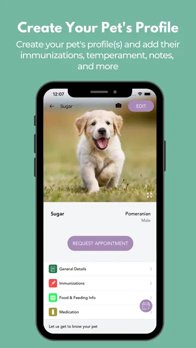 Bayou Canine Academy Screenshots
