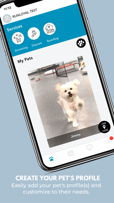 The Dog Spaw Ekran Görüntüleri