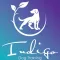 Indigo Dog Training