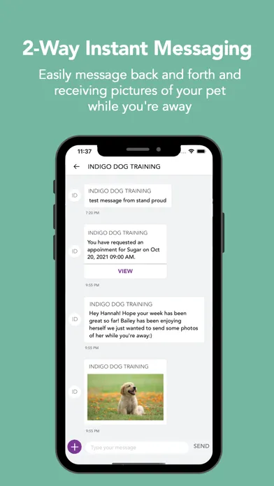 Indigo Dog Training スクリーンショット