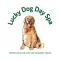 Lucky Dog Day Spa