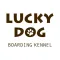 Lucky Dog Boarding Kennel