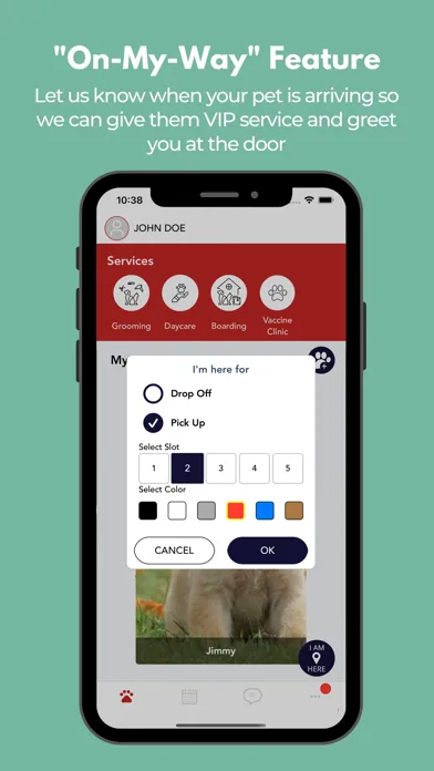 Скриншоты NYC Pet Direct