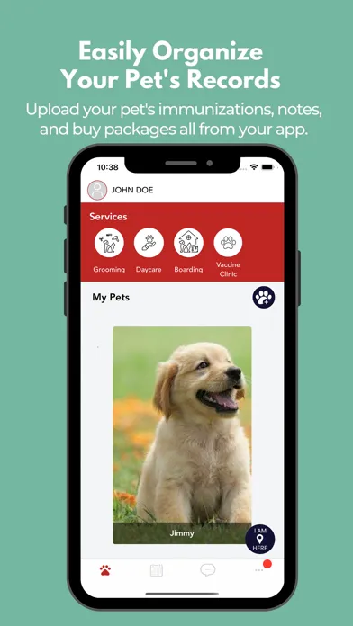 Скриншоты NYC Pet Direct