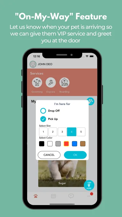 Ruby's K9 Corral Screenshots