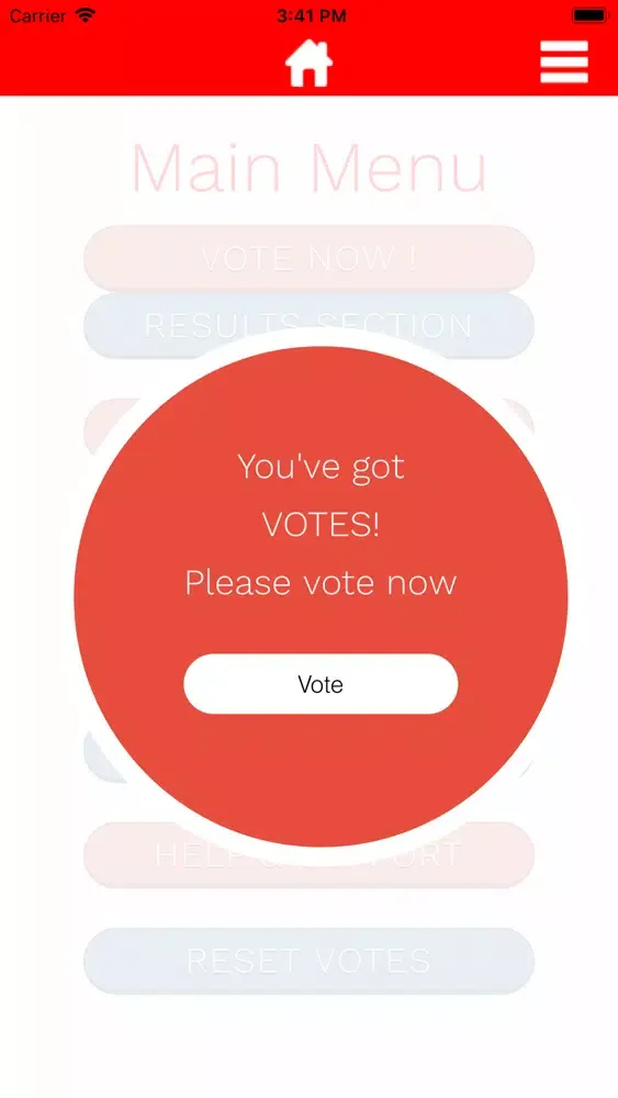 Its Your Vote スクリーンショット